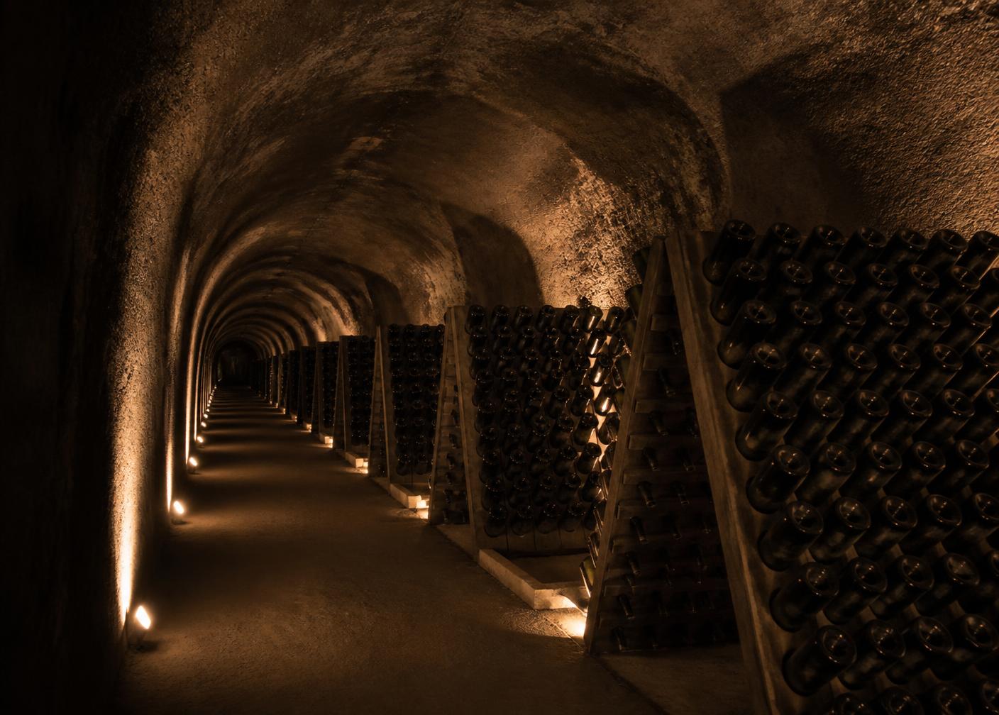 Chalk cellar with riddling racks of Champagne bottles